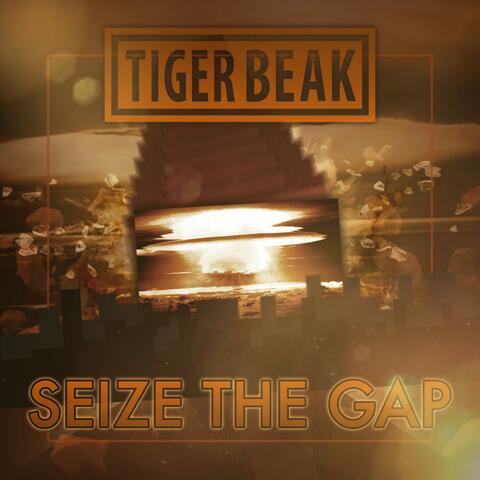 Seize The Gap