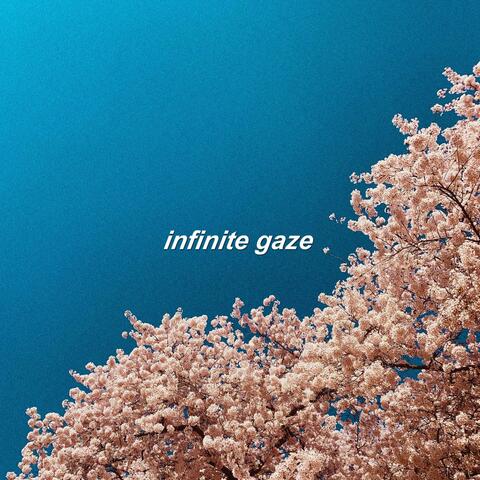 Infinite Gaze