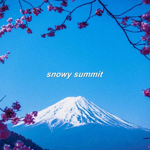 Snowy Summit