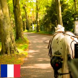 Son d'une Calèche avec les Sabots d'un Cheval