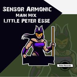 Sensor Armonic
