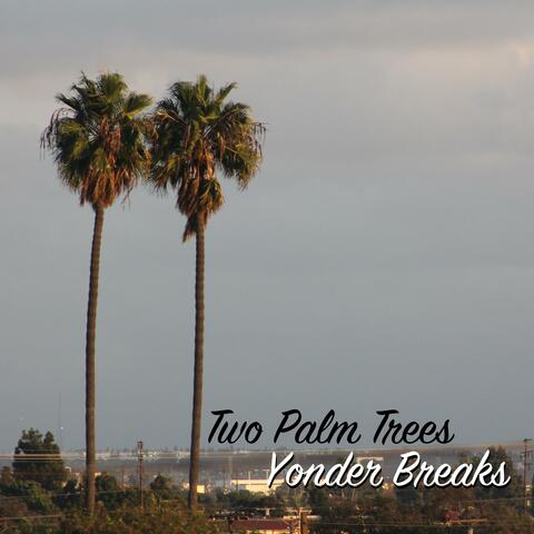 Two Palm Trees