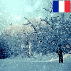 Doux Son des Flocons de Neige qui tombent