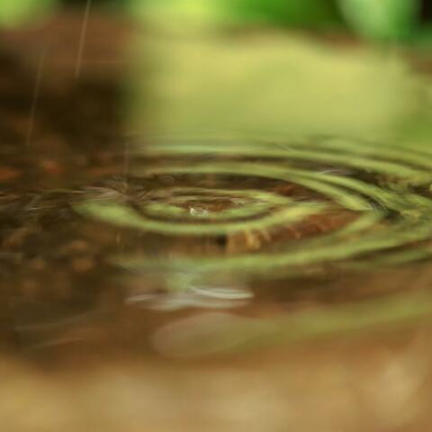 Días de lluvia