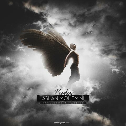 Aslan Mohem Ni
