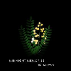 Midnight Memories