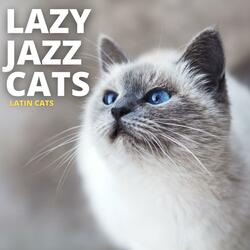 Another Lazy Cat