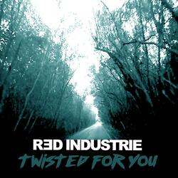 Twisted For You (Radio Edit)