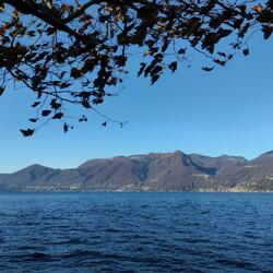 A Window On The Lake