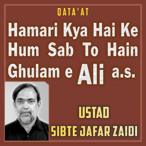 Hamari Kya Hai Ke Hum Sab To Hain Ghulam e Ali a.s.