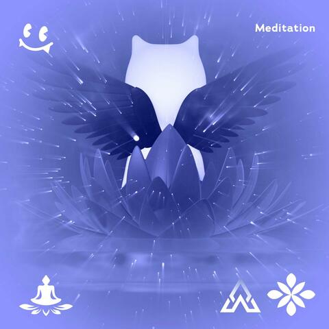 vinyasa meditation | REM meditation | orbital sounds | healthy mind and heart | meditation sounds for anxiety | soothing sounds