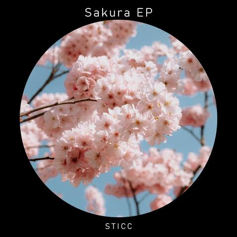 Sakura EP