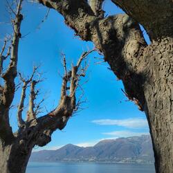 Another Day, Another Chance