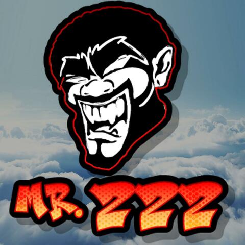Mr. 222