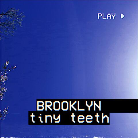 tiny teeth