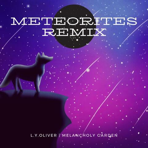 Meteorites