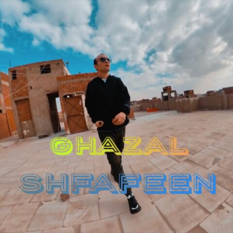 shafafeen