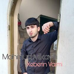 Xeberin Varmi
