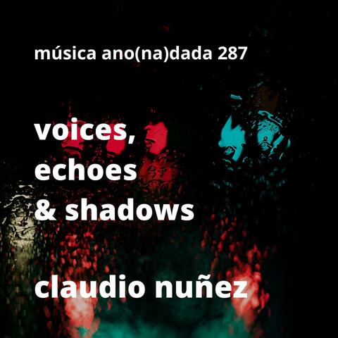 voices, echoes & shadows