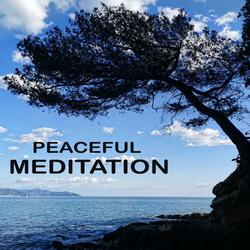 Magnificence of Meditation