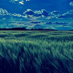 Clair de Lune