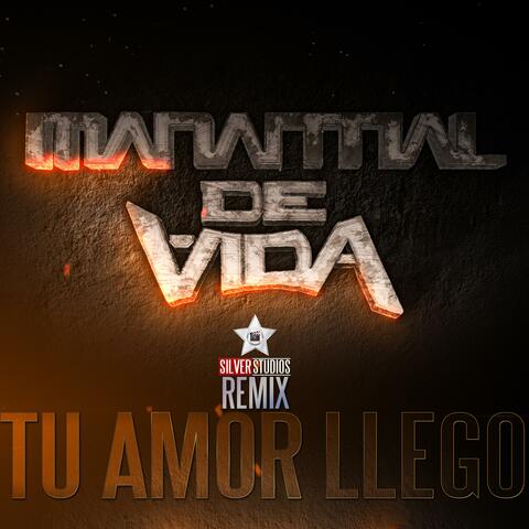 Tu Amor Llego