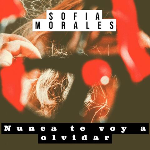 Nunca Te Voy a Olvidar