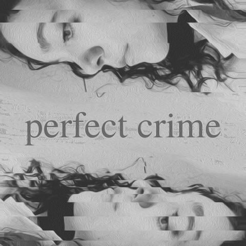 perfect crime