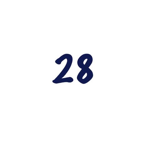 28