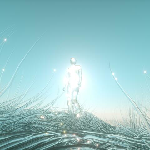 Simulation