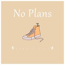 No Plans