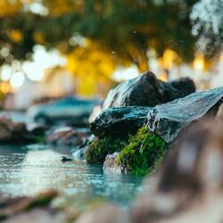 Relaxing Mountain Stream on Lazy Summer Day in Norway (7 Min)