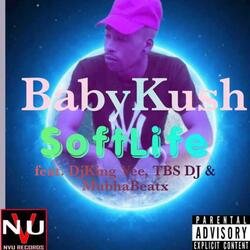 SoftLife (feat. DjKing Vee, TBS DJ & MubhaBeatx)