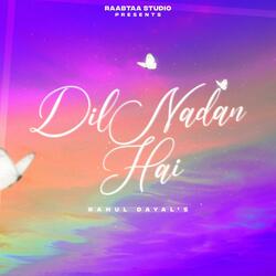 Dil Naadan Hai