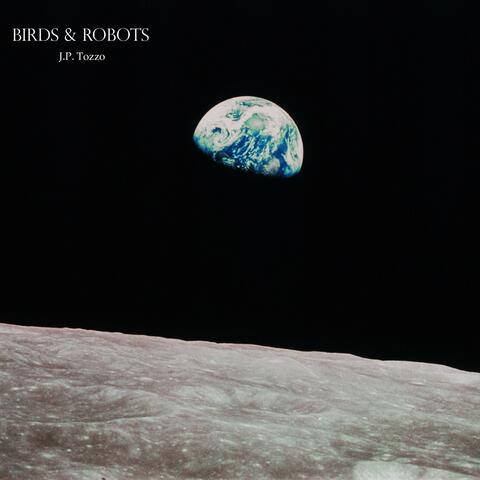 Birds & Robots
