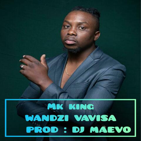 Wandzi vavisa