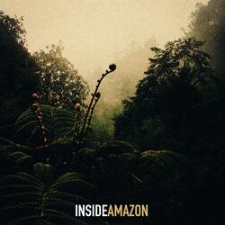 Inside Amazon