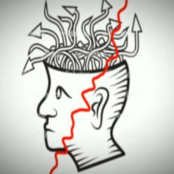 Brain