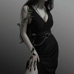 Black Dress