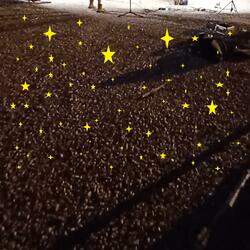 The Parking Lot of My Mind