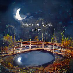 Drown in Night