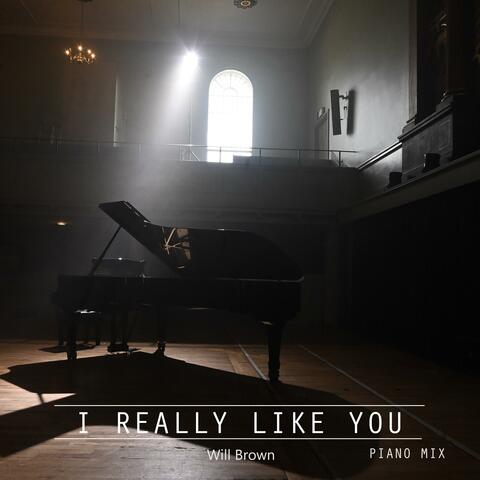 I Really Like You (Piano Mix)