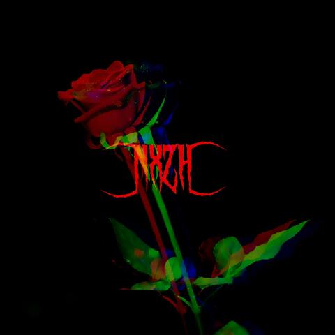 NXZH