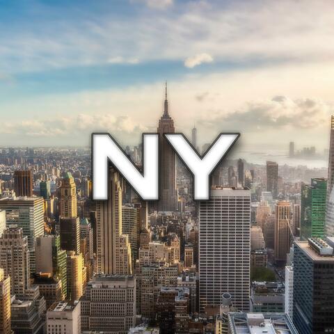 NY Type Beat #1