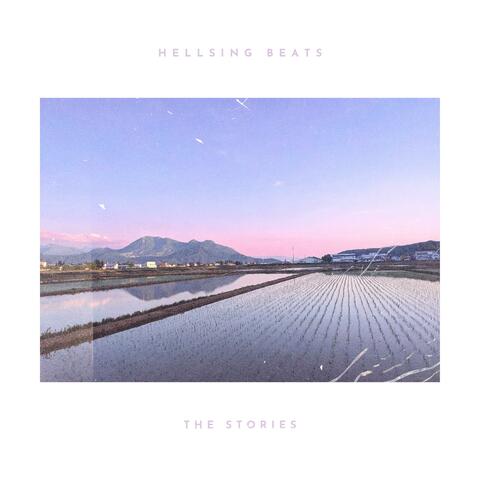 The Stories