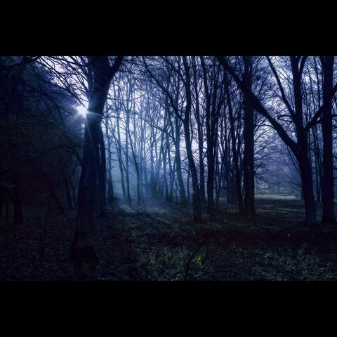 Meander
