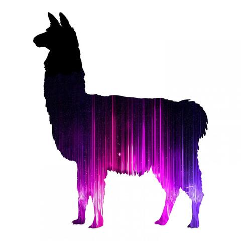 Llama (feat. N. Rodriguez)