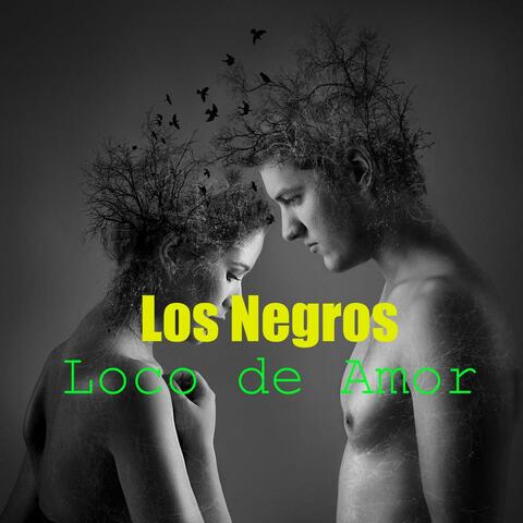Loco de Amor
