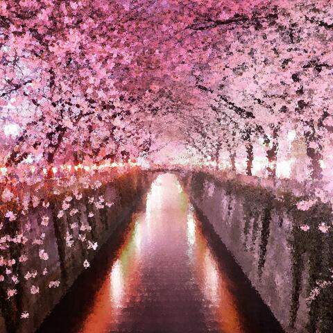 FINDING HANAMI