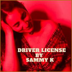 Drivers License
